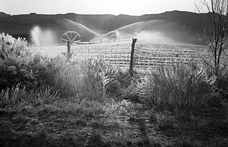 2037 - Iced Irrigator - USA - 2009 - California, Nevada & Utah NPs