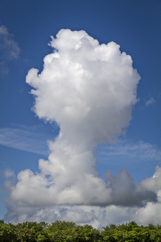Trophy Cloud - Away Skies