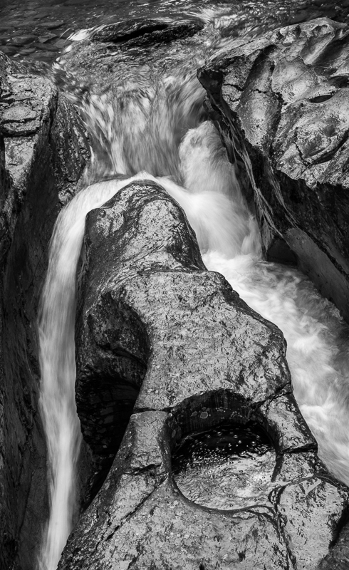 Watering Hole - Maligne Canyon - Banff & Jasper NPs - September 2018