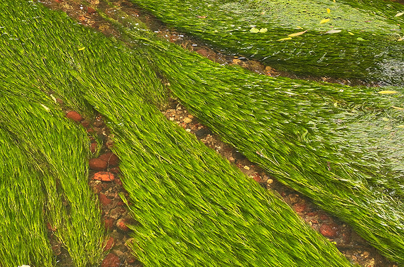 Stream Flow - Whilst Out and About ...