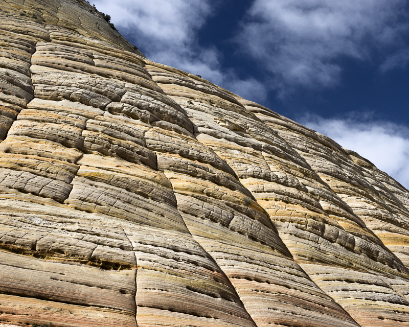 Checkerboard Mesa - USA - 2017 - CA, AZ, UT, CO, NM