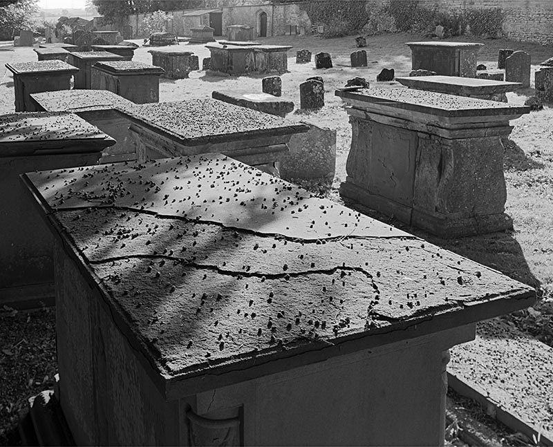 2229 - Tormarton Church Tombs  Yew Berries - The Cotswold Way - 2009
