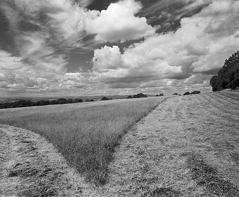 2166 - Hay Meadow - The Cotswold Way - 2009