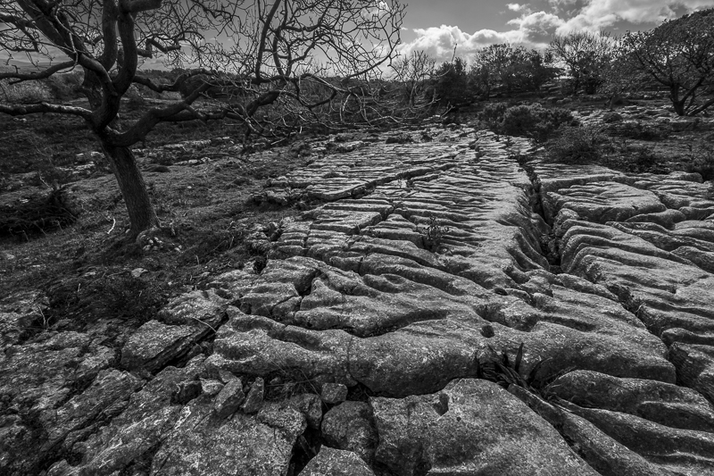 Clints and Grykes - 1 - Lake District - Prior to mid 2019