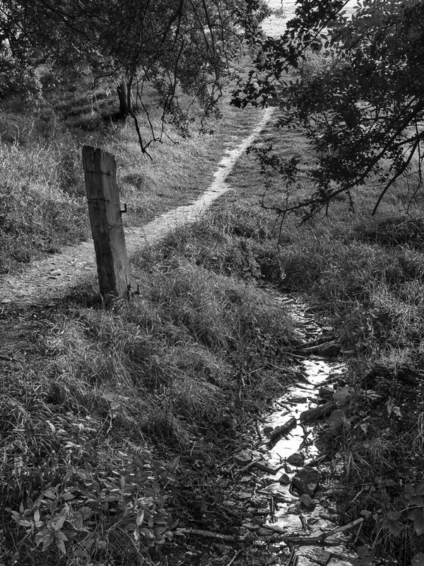 Day 4 - Post, Path and Trickle - The Cotswold Way - 2017/8