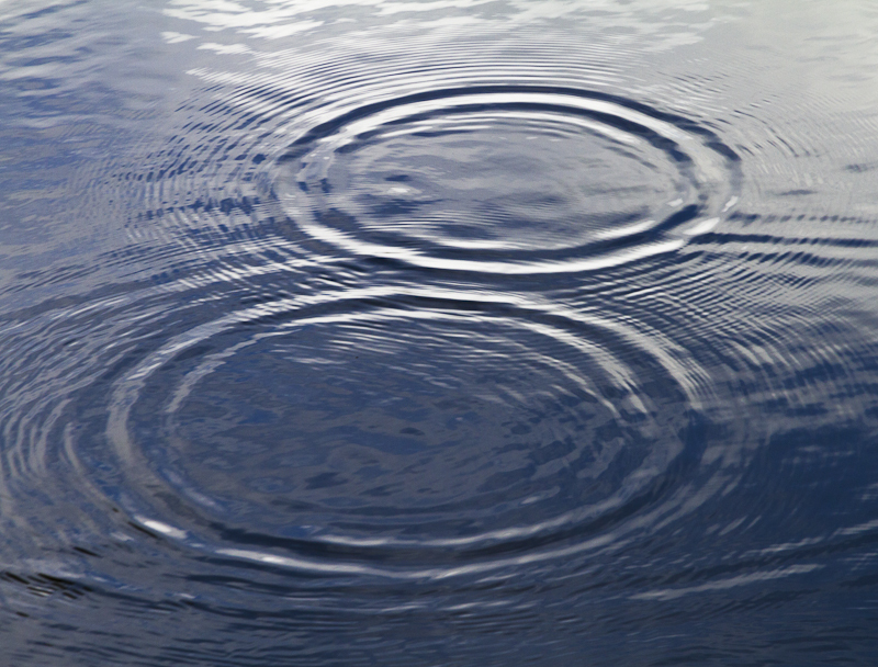 Drip Rings - Worcester Birmingham Canal