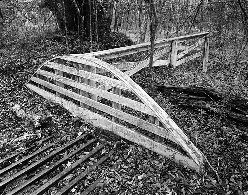 1610 - Cattle Grid  Fence 1 - USA - 2007 - South Carolina & Georgia