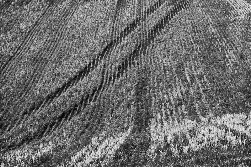 Day 3 - Cutting Across - On Bredon Hill - 2016