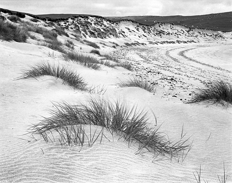0851 - Eyelash Grass - Hebrides & Skye - 2004