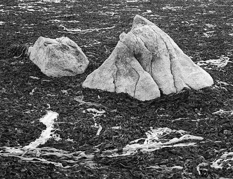 0822 - Seaweed  Boulders - Hebrides & Skye - 2004