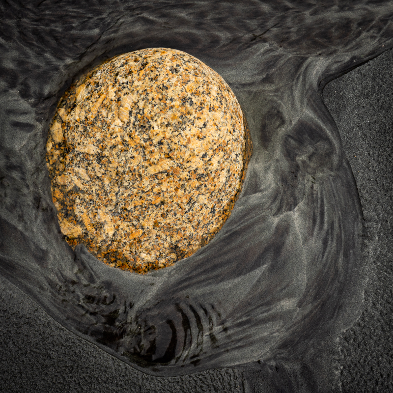 Gold & Black - New Zealand’s South Island - 2018