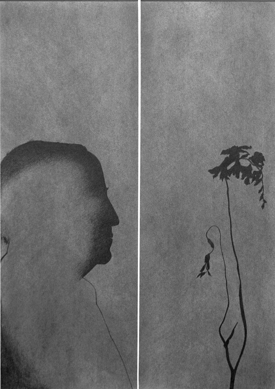 Disjunction 1 445mm x 630mm Drawing - Flower Drawings