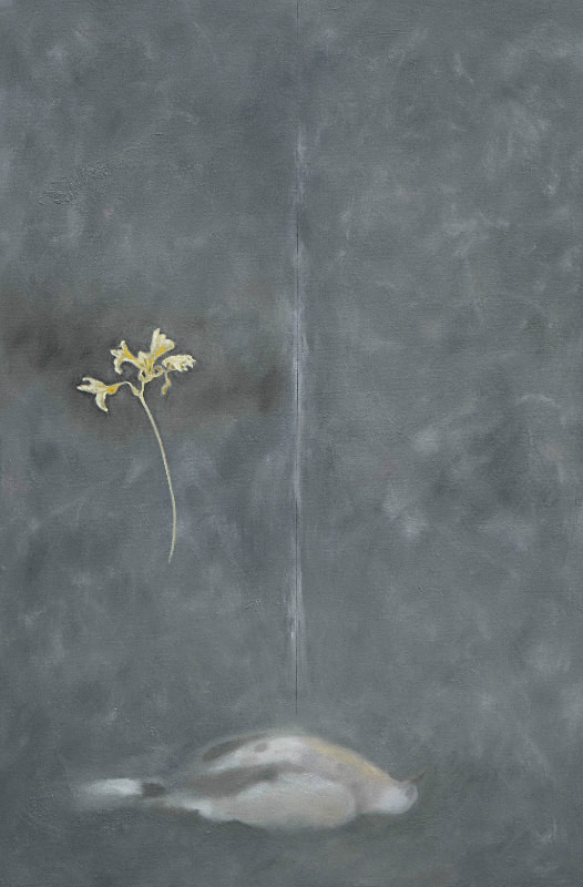 Thin Line - Bird Paintings