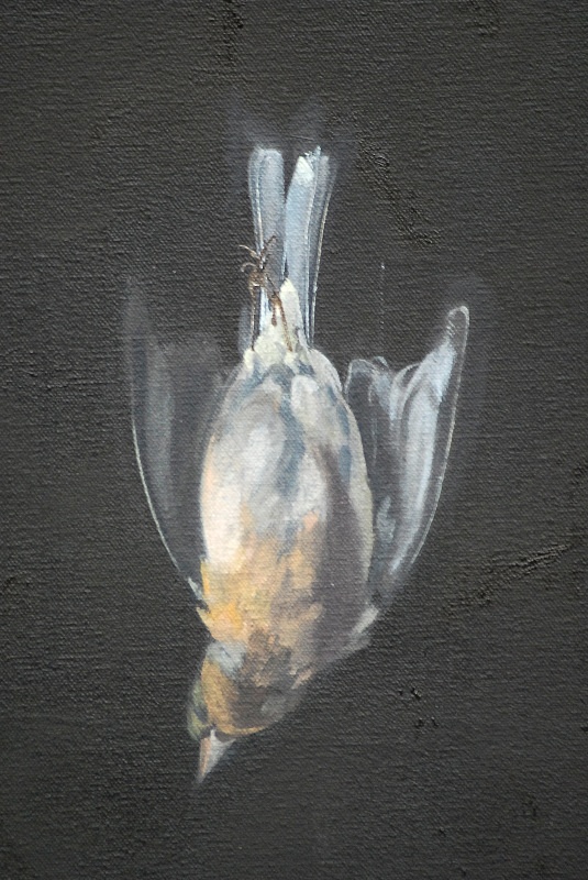 Chaffinch 3 Detail - Bird Paintings