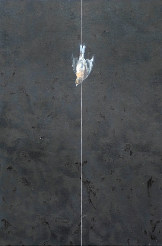 Chaffinch 3 Divided - Bird Paintings