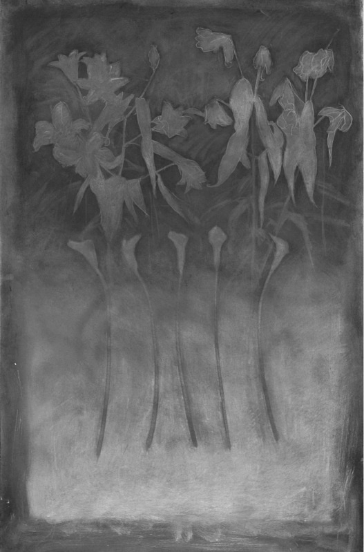 Untitled 36in x 60in - Flower Drawings
