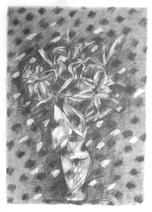 Image with Noise 20in x 30 in - Flower Drawings