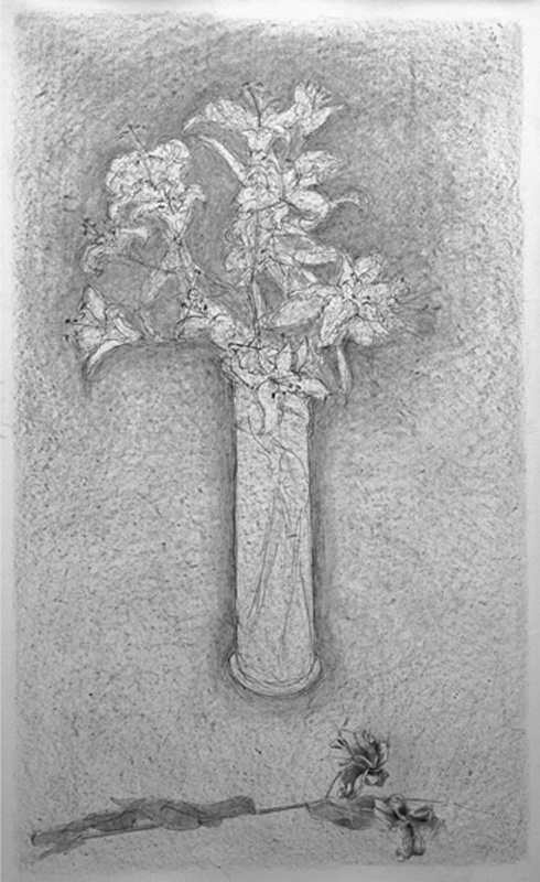 Decline 36in x 60in - Flower Drawings