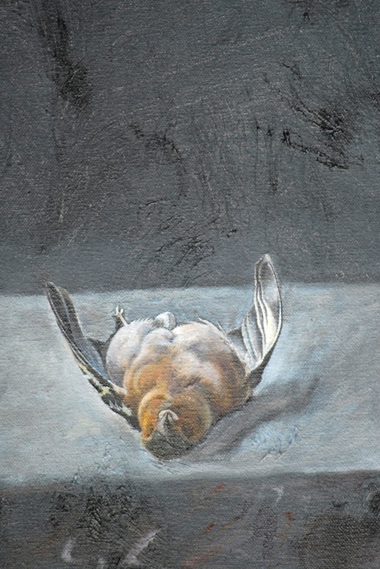 chaffinch 2 Detail - Bird Paintings