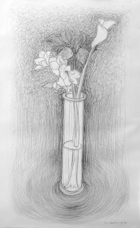 Energetic line 36in x 60 in - Flower Drawings