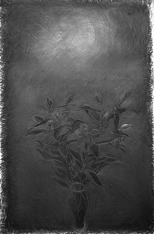 Mixed Media 36in x 60 in - Flower Drawings
