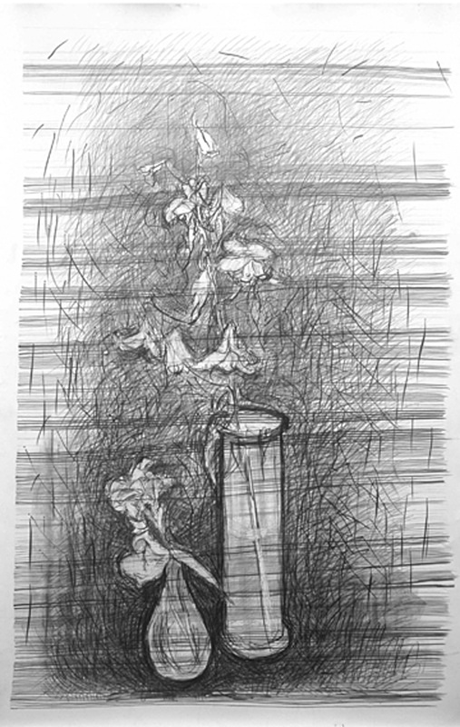 Horizontal 36in x 60in - Flower Drawings