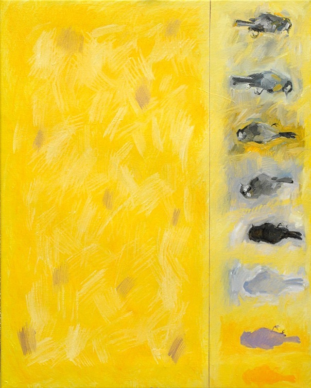 Marginal - Bird Paintings
