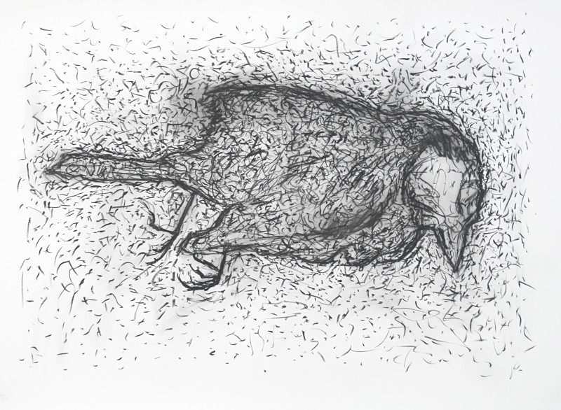 Coaltit with Inappropriate Marks, Compressed Charcoal 30 in x 20in - Bird drawings