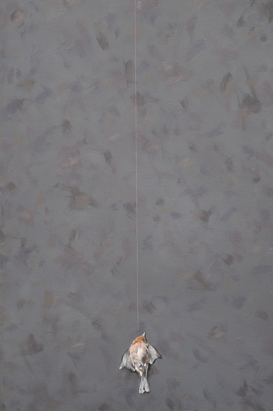 Chaffinch 1 With Line - Bird Paintings