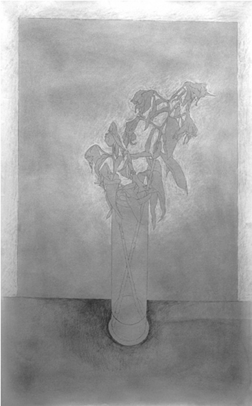 Gentle Drawing 36in x 60in - Flower Drawings