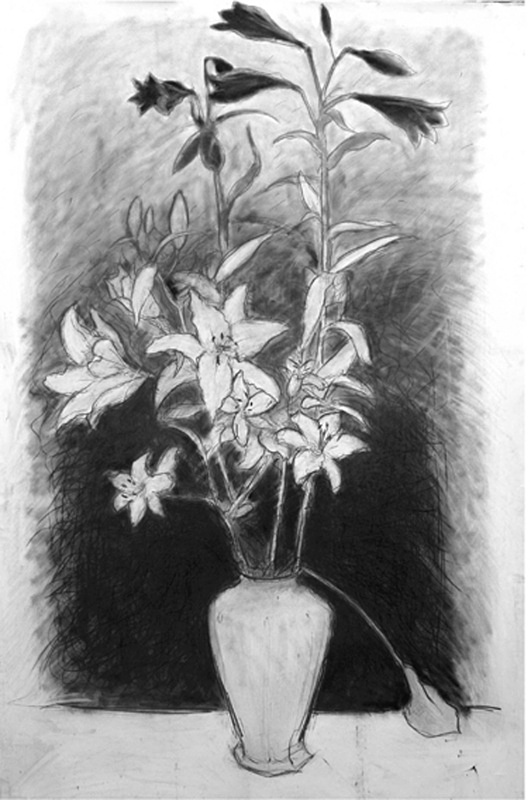 Untitled 36in x 60 in - Flower Drawings