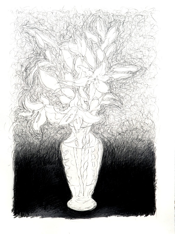 Quick drawing 20in x 30in - Flower Drawings