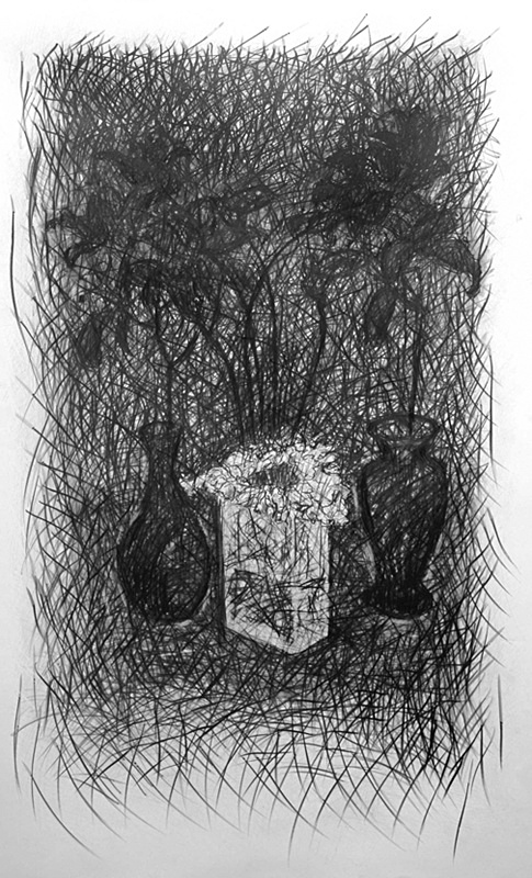 Struggle 36in x 60in - Flower Drawings