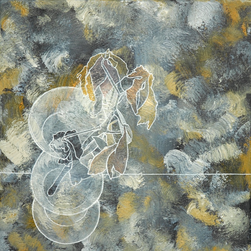 _Dead Lilies from Above 10in x 10in - Flower Paintings