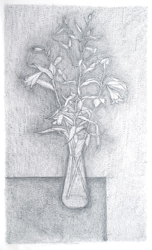 Vase and Edge 36in x 60in - Flower Drawings