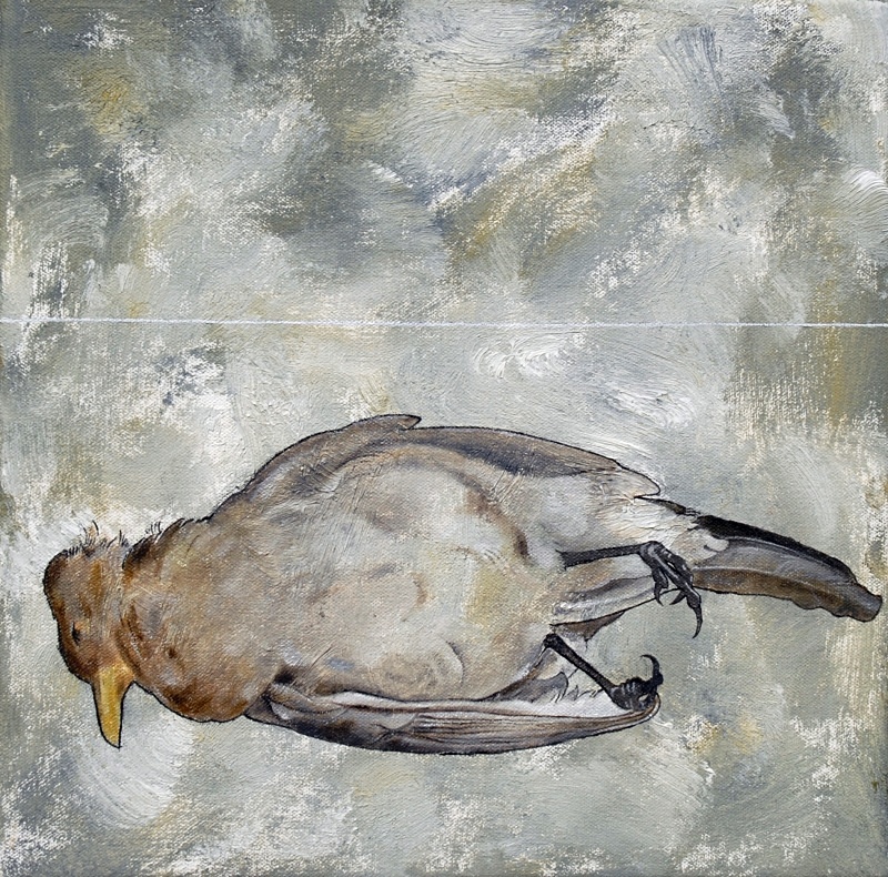 Blackbird 2 10in x 10in - Bird Paintings
