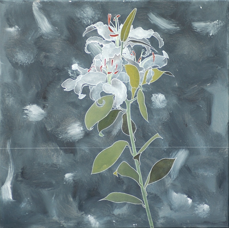 Lily on Grey24in x 24in - Flower Paintings