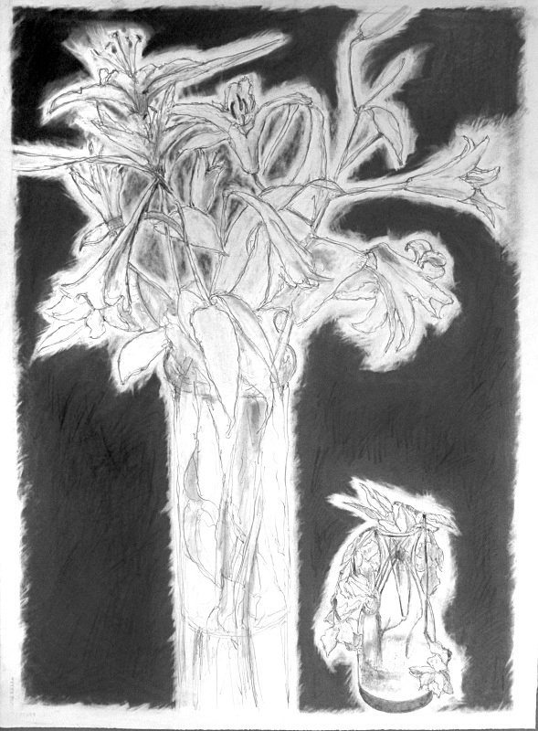 Truncated Vase 20in x 30in - Flower Drawings