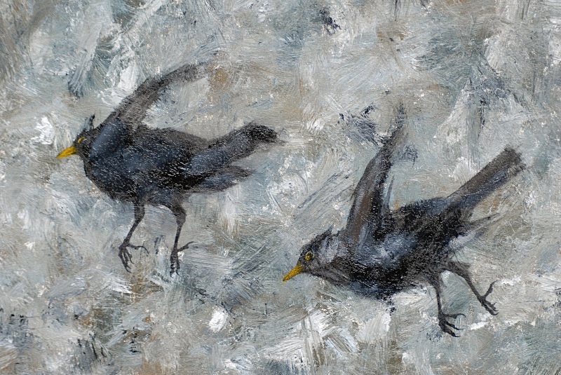 Blackbird Detail - Bird Paintings