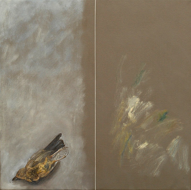 Dead Bird with Tasteful Marks 560mm x 560mm Oil - Bird Paintings