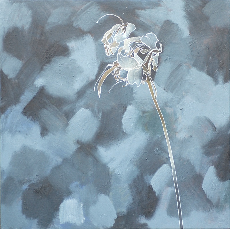 Llily on Blue-grey24in x 24in - Flower Paintings
