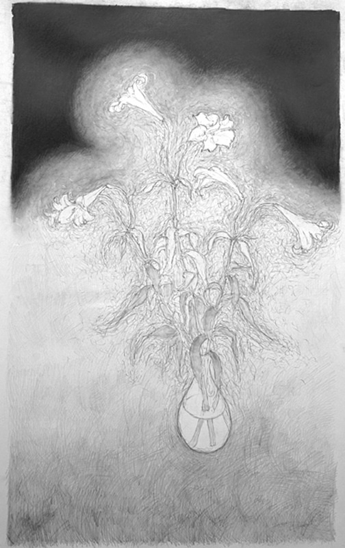 Suggestion 36in x 60in - Flower Drawings