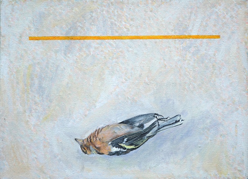 Floating Yellow 2  330mm x 250mm - Bird Paintings