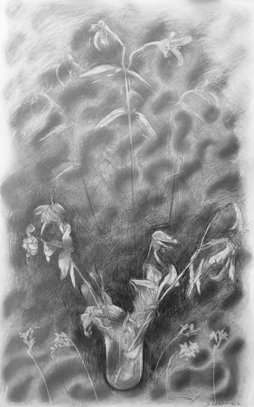 Phoenix 36in x 60in - Flower Drawings