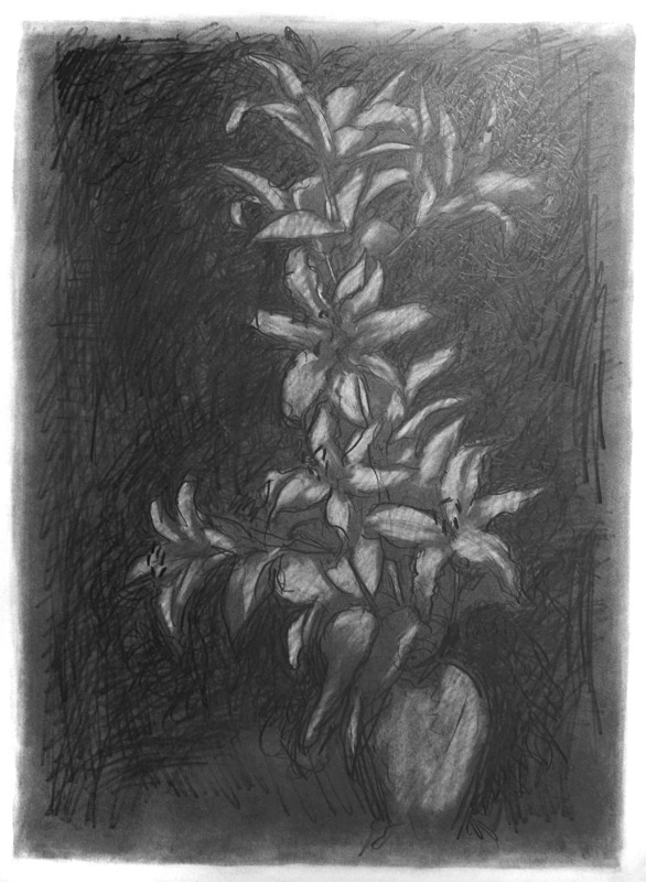 Dark Drawing 20in x 30in - Flower Drawings