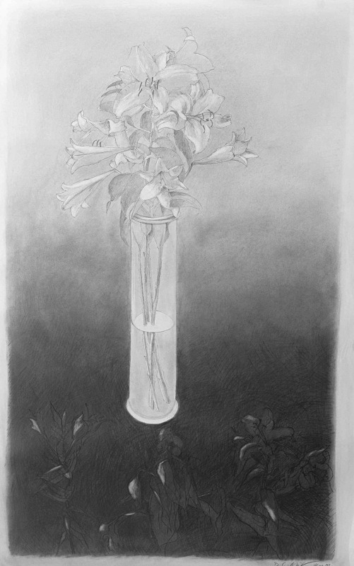 Undercurrent 36in x 60in - Flower Drawings