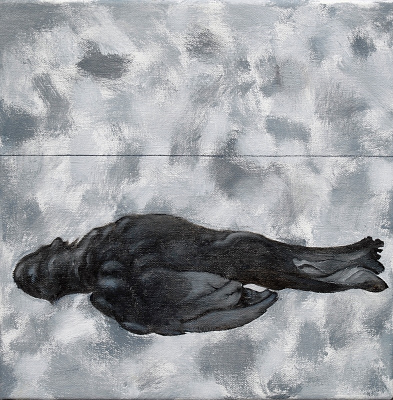 Blackbird 10in x 10in - Bird Paintings