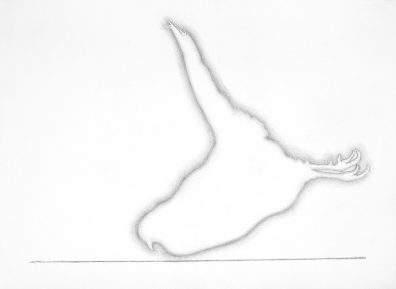 Partridge with Soft Outline - Bird drawings