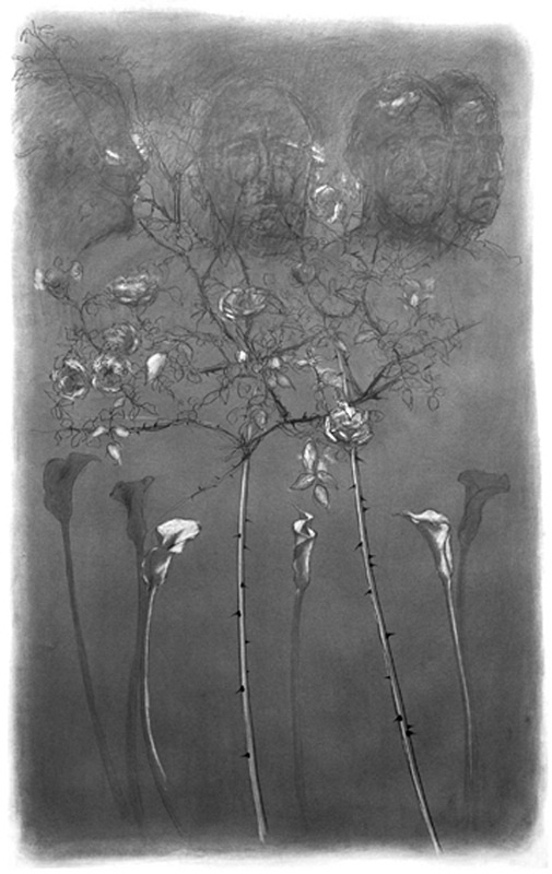 Self Portrait 36inx 60in - Flower Drawings