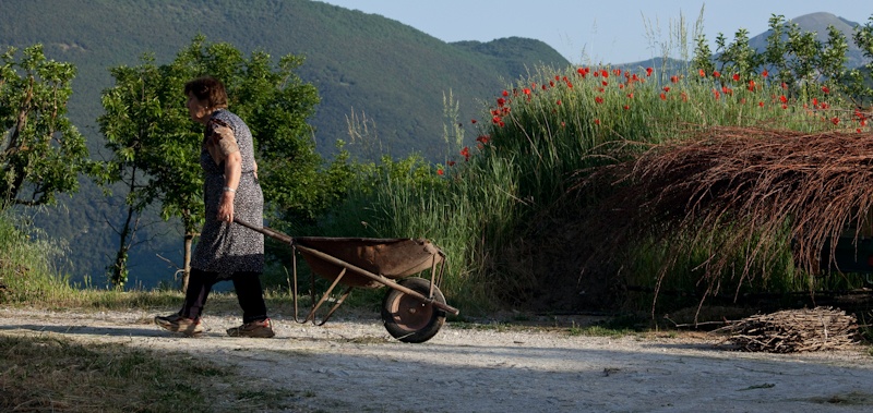 Early morning work - Umbria